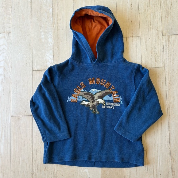 Gymboree Blue and Orange Eagle Graphic Hoodie - Picture 1 of 4